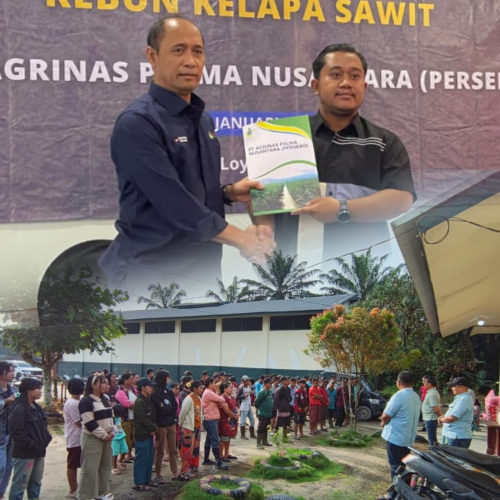 Bertahan di Tengah Seleksi Ketat Agrinas: Eks Lahan PT Ayau 1.446,40 Hektare Resmi Dipegang RJM, Kontrak KSO Diperpanjang