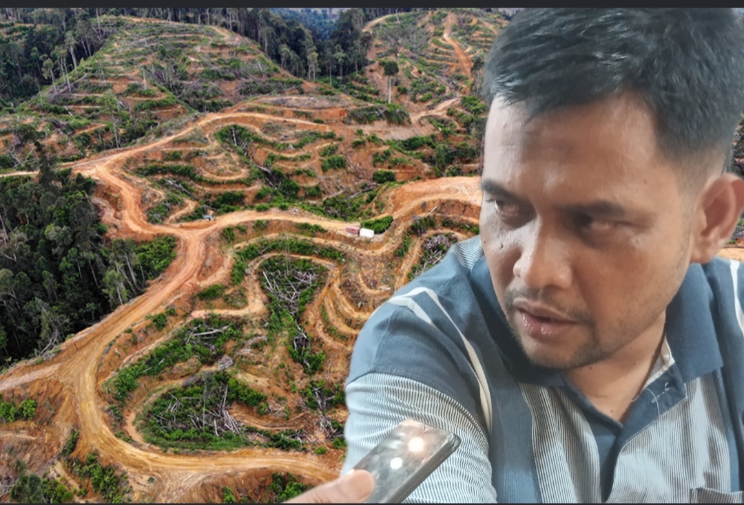 Jangan Hanya Gertak Balung, Pak Kapolda! Tangkap Raja-Raja Mafia Hutan Kampar Kiri!